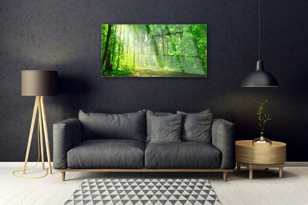 Obraz na skle Les Cestička Stromy Příroda 100x50 cm 2 Přívěsky