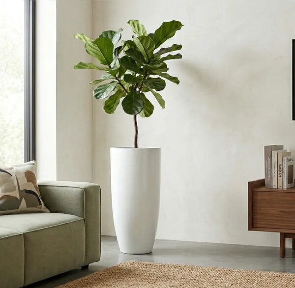 Dekorační květináč Pure royal 80×40 cm white - Bílá - 71 - 90 cm - Skleněná vlákna - 31 do 50cm