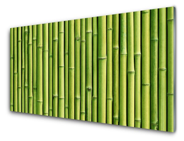 Skleněné obklady do kuchyně Bambus Rostlina Příroda 125x50 cm
