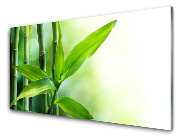 Skleněné obklady do kuchyně Bambus List Rostlina Příroda 120x60 cm