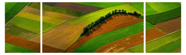 Obraz - Pole, louky (170x50 cm)