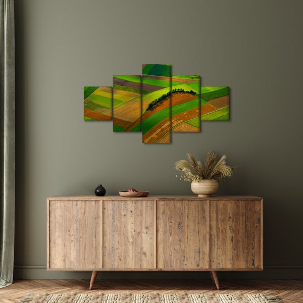 Obraz - Pole, louky (125x70 cm)