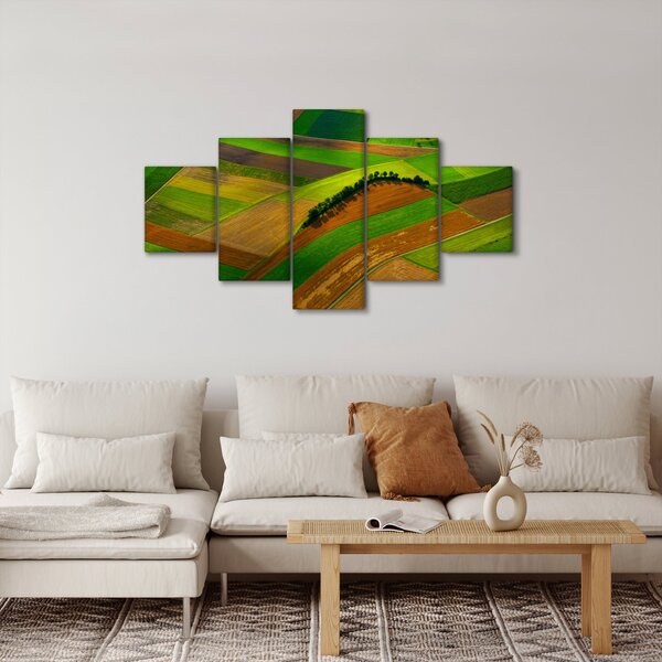 Obraz - Pole, louky (125x70 cm)
