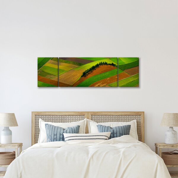 Obraz - Pole, louky (170x50 cm)