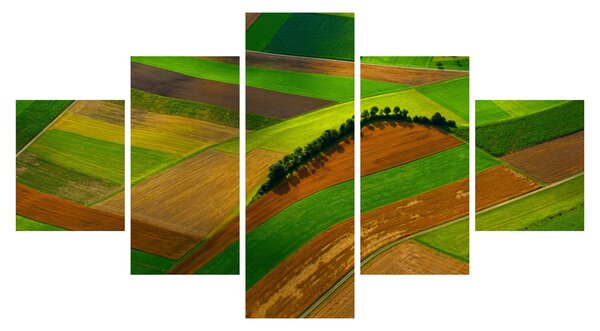 Obraz - Pole, louky (125x70 cm)