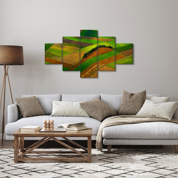 Obraz - Pole, louky (125x70 cm)