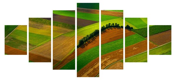 Obraz - Pole, louky (210x100 cm)