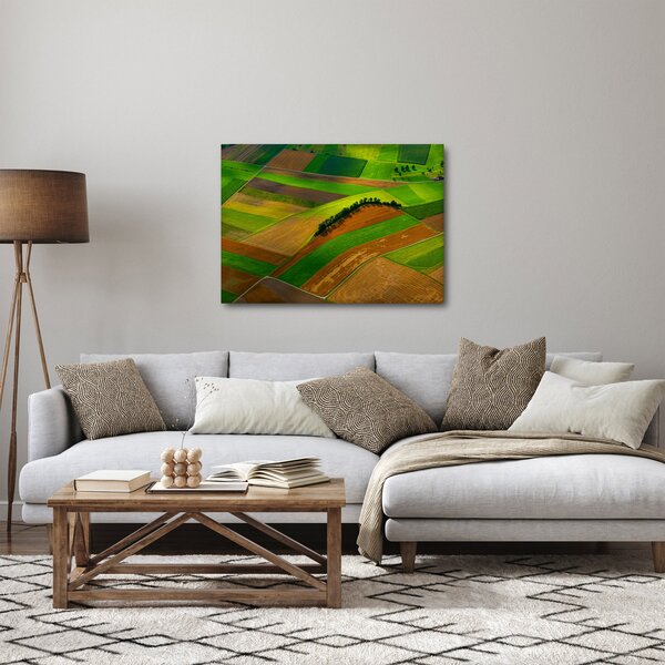 Obraz - Pole, louky (70x50 cm)