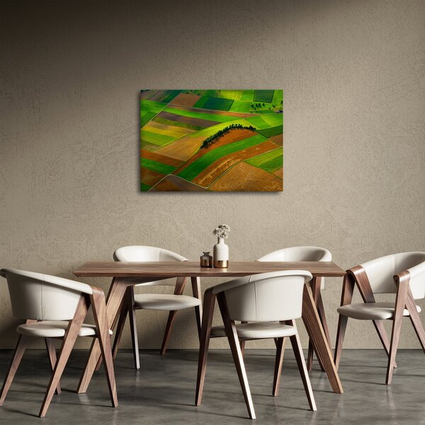 Obraz - Pole, louky (70x50 cm)