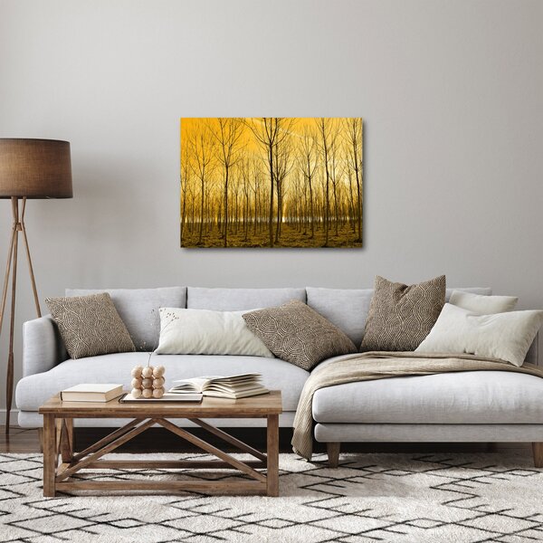 Obraz - Plantáž stromů (70x50 cm)