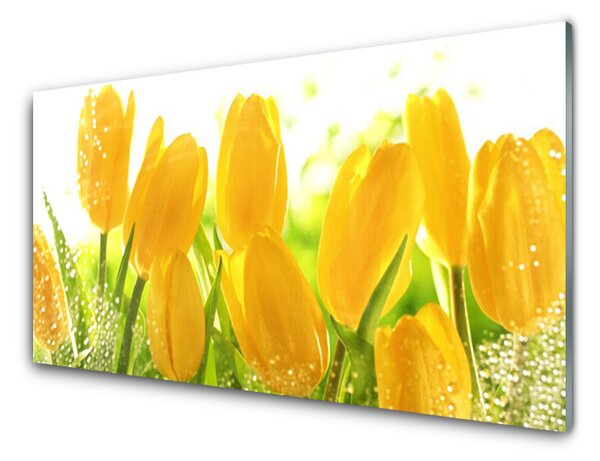 Skleněné obklady do kuchyně Tulipány Květiny Rostlina 140x70 cm