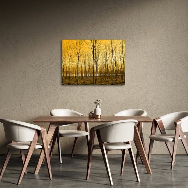 Obraz - Plantáž stromů (70x50 cm)
