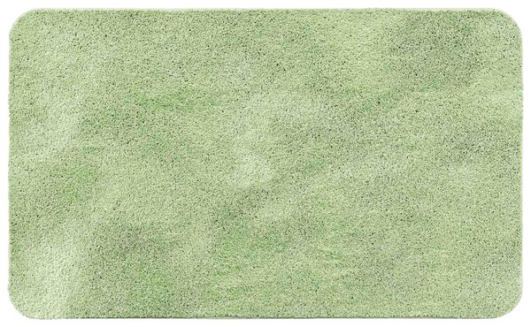 KOUPELNOVÁ PŘEDLOŽKA, 60/100 cm Esposa - Koupelnové předložky