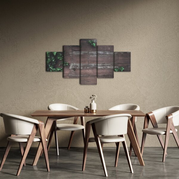 Obraz - Břečťan (125x70 cm)
