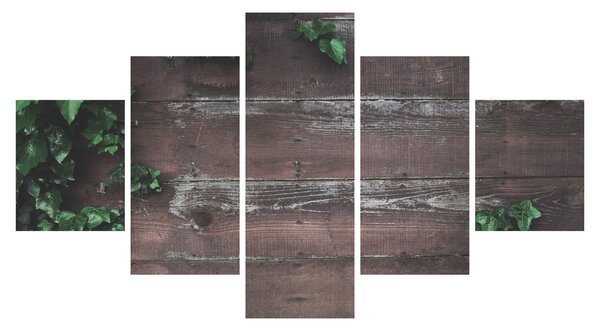 Obraz - Břečťan (125x70 cm)
