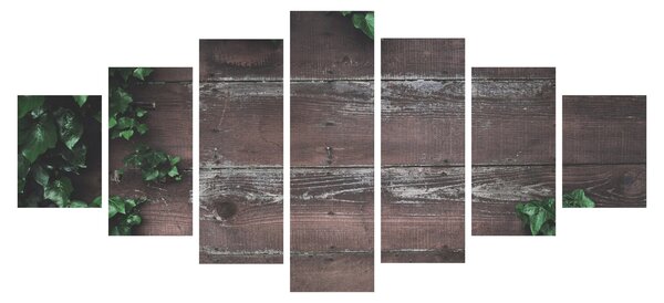 Obraz - Břečťan (210x100 cm)