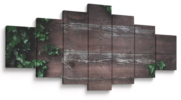 Obraz - Břečťan (210x100 cm)