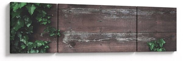 Obraz - Břečťan (170x50 cm)