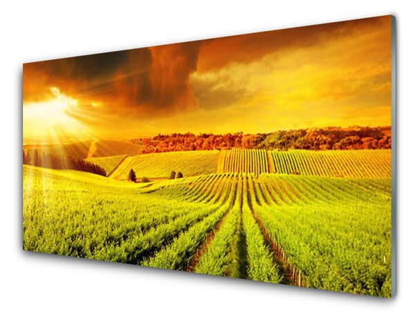 Kuchyňský skleněný panel Pole Západ Slunce Krajina 125x50 cm