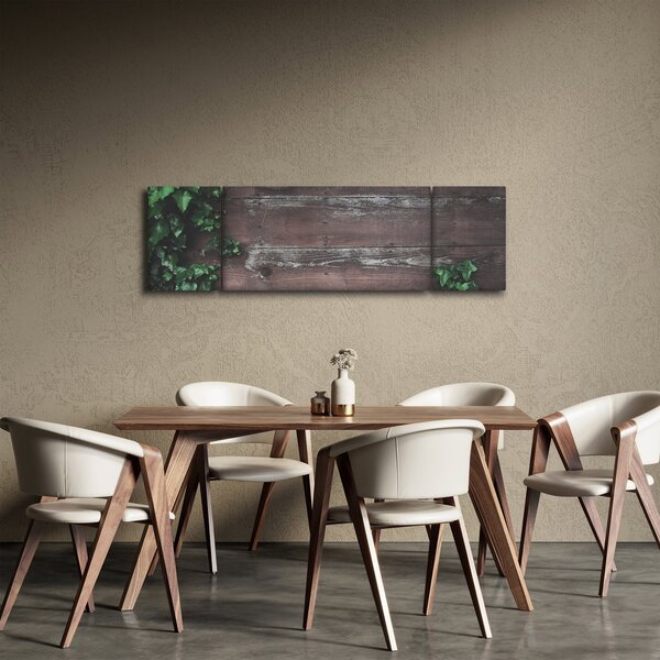 Obraz - Břečťan (170x50 cm)