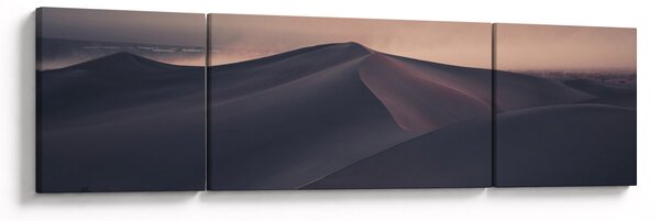Obraz - Písečné duny (170x50 cm)