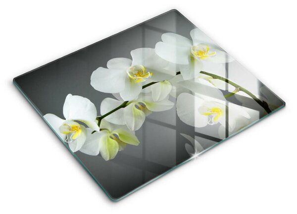 Sklo za varnou desku Bílé květy orchidejí
