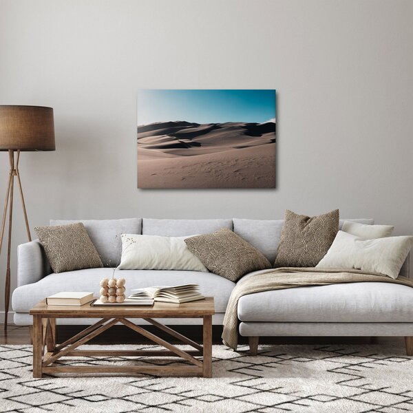 Obraz - Z pouště (70x50 cm)