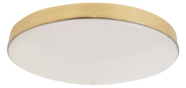 Stropní LED svítidlo Maya, 1x LED 15w, 4000k, g