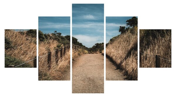 Obraz - Na stezce (125x70 cm)