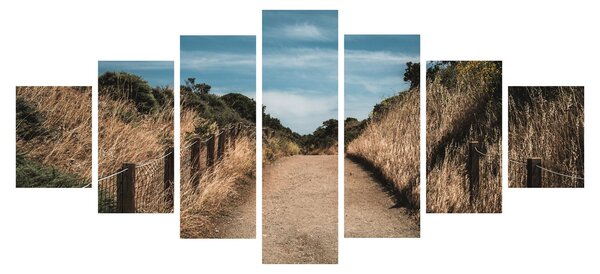 Obraz - Na stezce (210x100 cm)