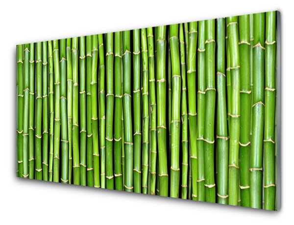 Kuchyňský skleněný panel Bambus Květ Rostlina 100x50 cm