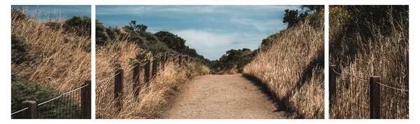 Obraz - Na stezce (170x50 cm)