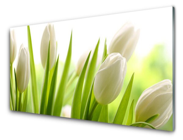 Kuchyňský skleněný panel Tulipány Květiny 125x50 cm