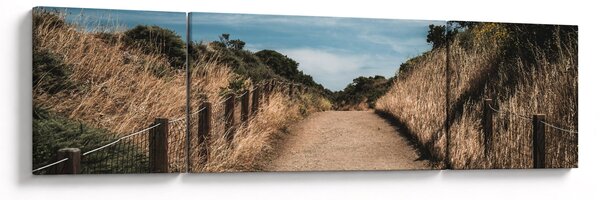 Obraz - Na stezce (170x50 cm)