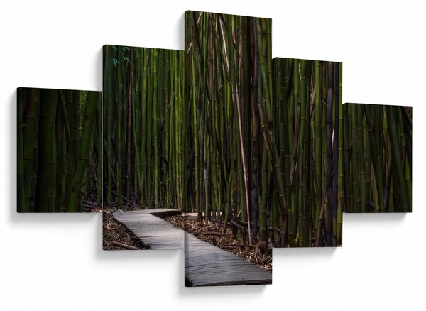 Obraz - Mezi bambusy (125x70 cm)