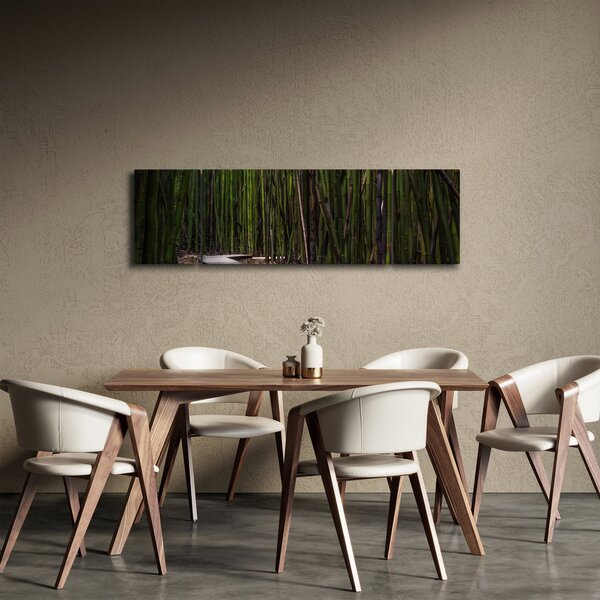 Obraz - Mezi bambusy (170x50 cm)