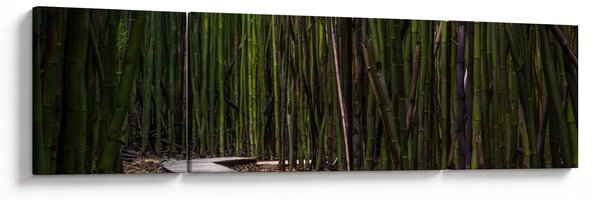 Obraz - Mezi bambusy (170x50 cm)
