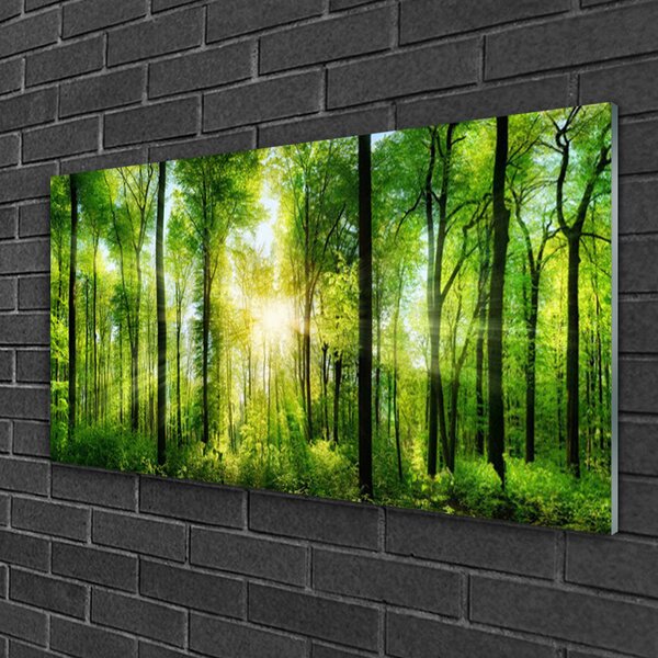 Obraz na skle Les Příroda 100x50 cm 2 Přívěsky