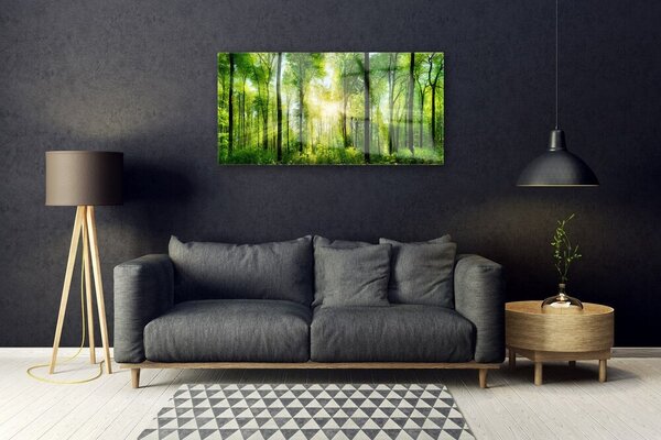 Obraz na skle Les Příroda 100x50 cm 2 Přívěsky