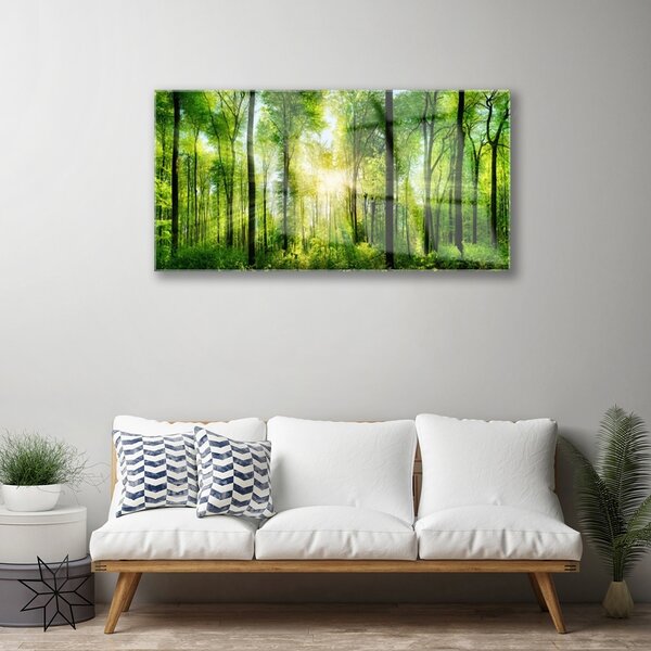 Obraz na skle Les Příroda 100x50 cm 2 Přívěsky