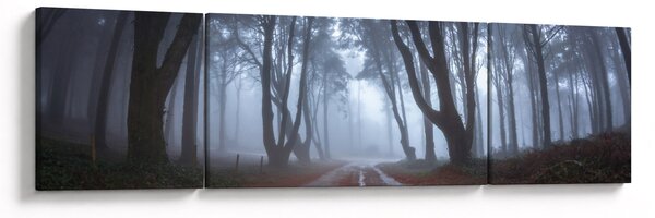 Obraz - Za deštivého dne (170x50 cm)
