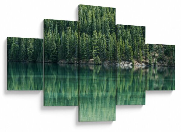 Obraz - Jehličnany u jezera (125x70 cm)