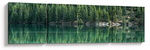 Obraz - Jehličnany u jezera (170x50 cm)