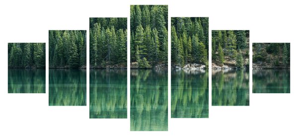 Obraz - Jehličnany u jezera (210x100 cm)