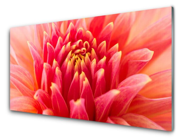 Akrylový obraz Květ Rostlina Příroda 140x70 cm
