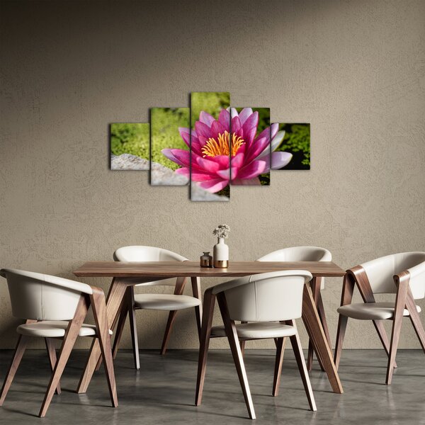Obraz - Leknín (125x70 cm)