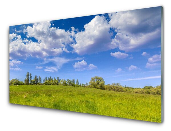 Skleněné obklady do kuchyně Louka Tráva Nebe Krajina 125x50 cm