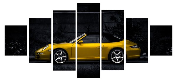 Obraz - Sporťák (210x100 cm)