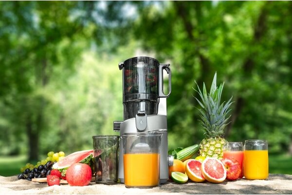 Concept LO7120 - Šnekový odšťavňovač JUICY 250W/230V šedá