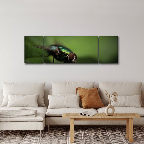 Obraz - Moucha (170x50 cm)